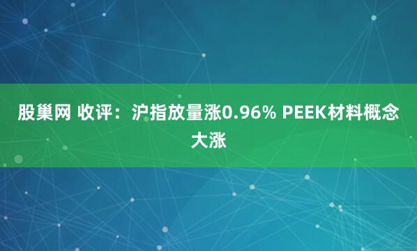 股巢网 收评：沪指放量涨0.96% PEEK材料概念大涨