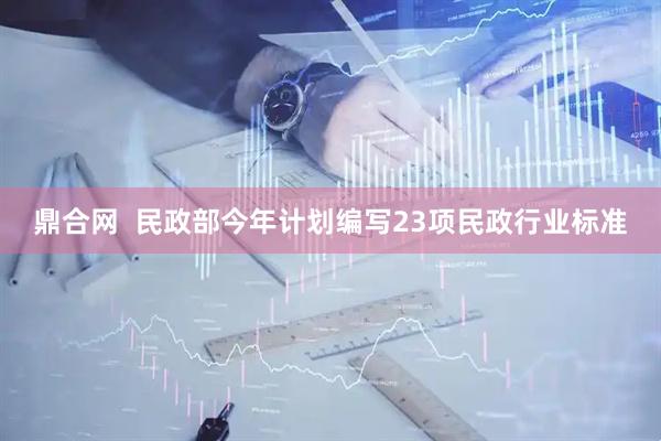 鼎合网  民政部今年计划编写23项民政行业标准