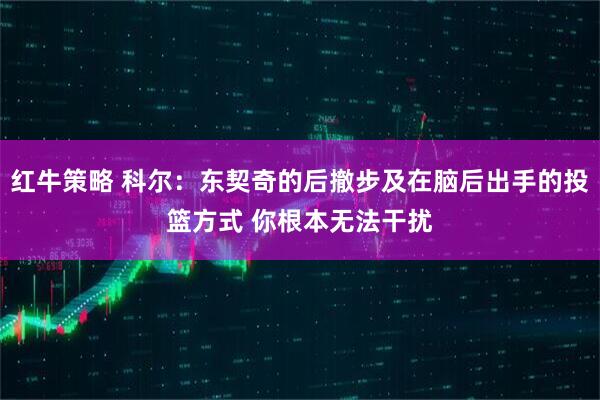 红牛策略 科尔：东契奇的后撤步及在脑后出手的投篮方式 你根本无法干扰