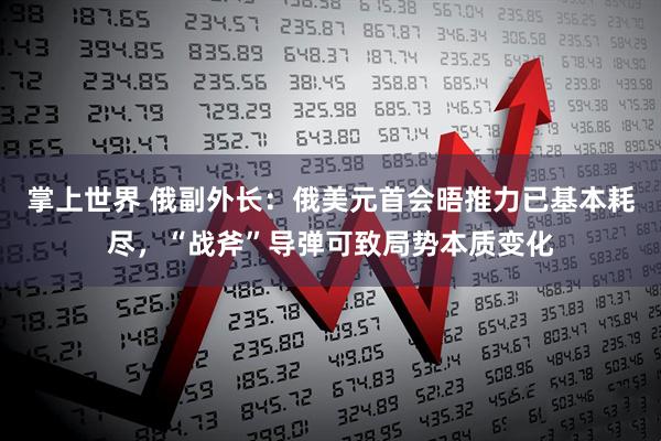 掌上世界 俄副外长：俄美元首会晤推力已基本耗尽，“战斧”导弹可致局势本质变化