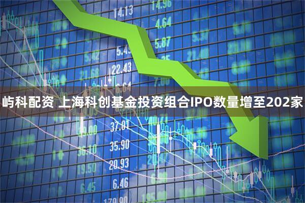 屿科配资 上海科创基金投资组合IPO数量增至202家